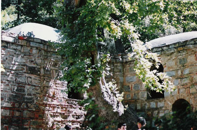 Casa de María