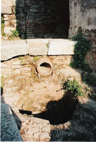 Pozo Absorbente<br> Foto de Mirta Fernandez